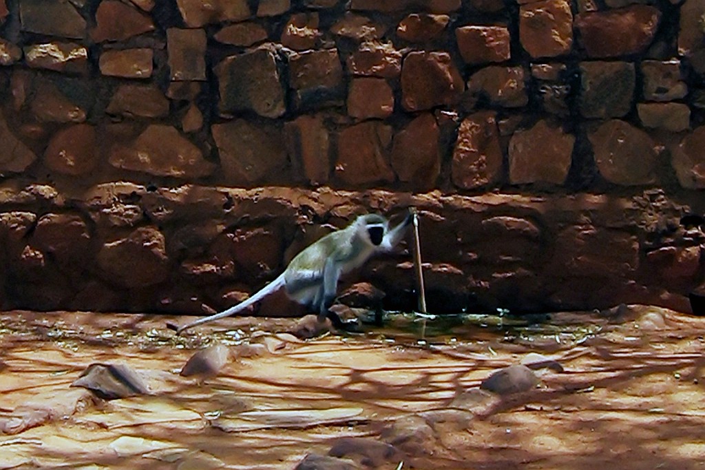Kenia (280).jpg